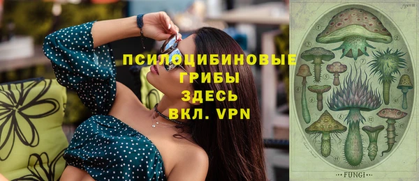марки nbome Белокуриха