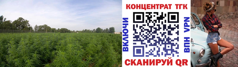 Дистиллят ТГК THC oil  Купить  Бузулук 