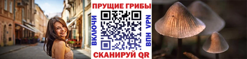 Купить закладки  Бузулук  Галлюциногенные грибы мицелий 